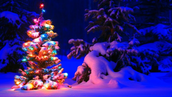 Праздник в лесу украшенная елка для Нового года и Рождества обои