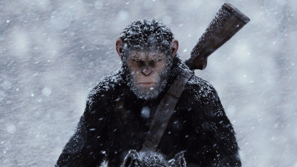 Война планеты обезьян фильм обои