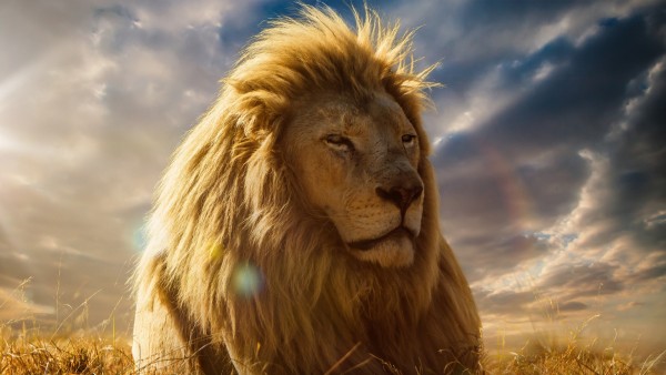 Королевский лев картинки