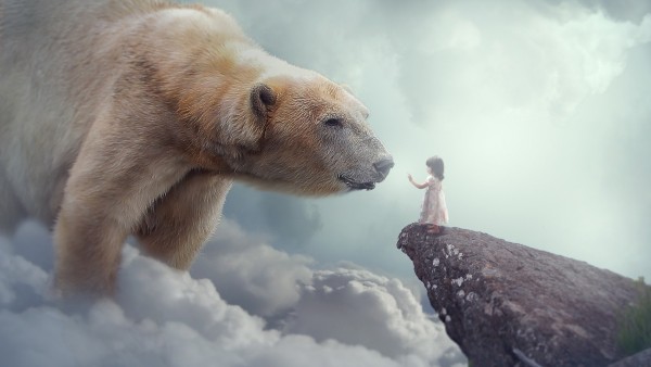 Сказка полярный медведь и маленькая девочка картинки