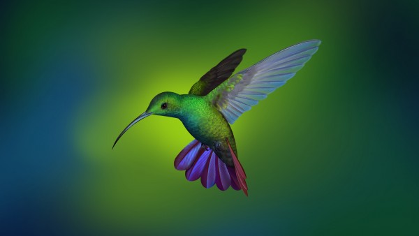 hummingbird, колибри, обои 4K, 3840x2160