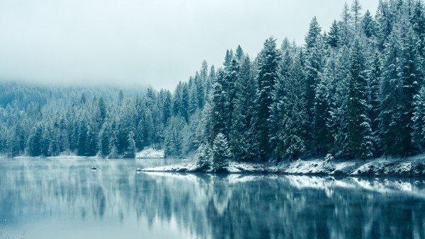 Кутеней река, снегопад, зима, лес, горы, пейзаж, фото