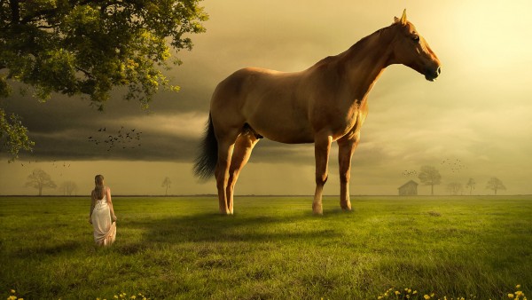Девушка, лошадь, ландшафт, природа, фото