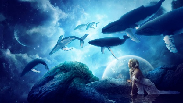 Фэнтези киты в небе на синем фоне