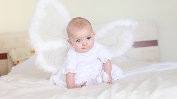 Обои маленького ангела с крыльями малыш