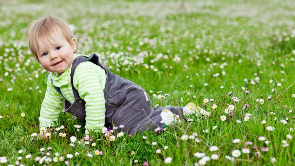 Маленький мальчик на поляне