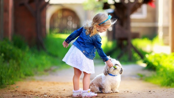 Обои девочки с маленькой собачкой на улице