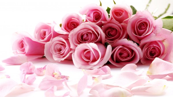 Букет алых роз к празднику обои бесплатно
