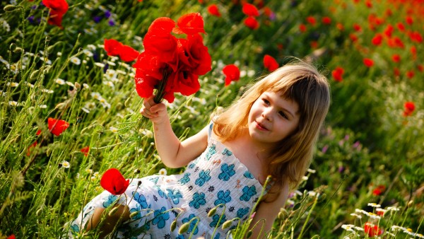 Ребенок девочка собирает красные цветы в поле