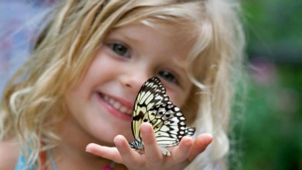 Маленькая улыбающаяся девочка держит в руках бабочку