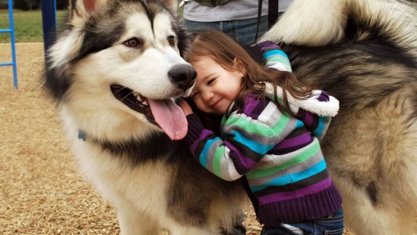 Девочка на игровой площадке с большой собакой обои