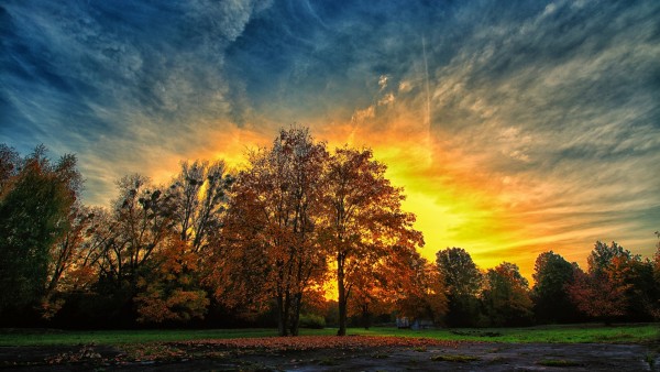 Осенний закат красочные деревья
