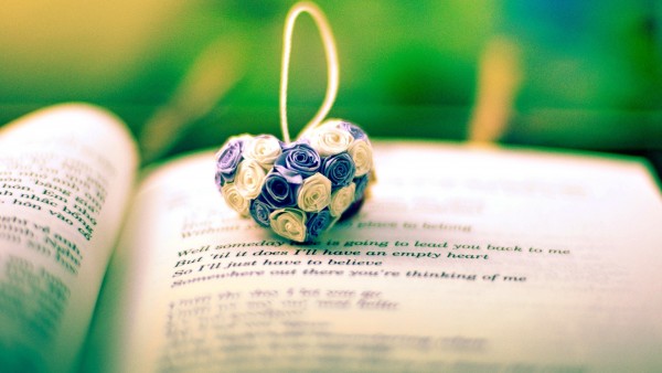 Сердце из цветов на книге