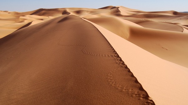 Море песка в пустыне