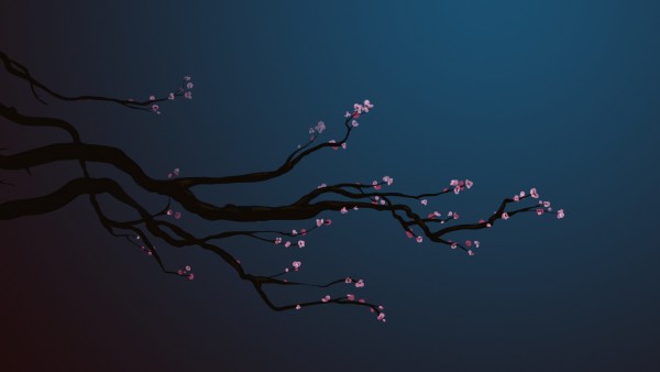 2560x1600,  Ветки сакуры на синем фоне