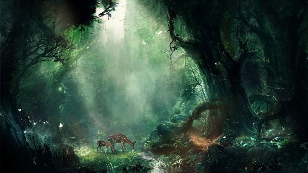 Bambi Jungle Desktop Backgrounds