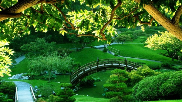 Парк, мост, трава, природа, картинки