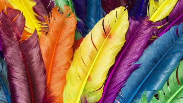 Разноцветные перья абстрактные обои на ПК