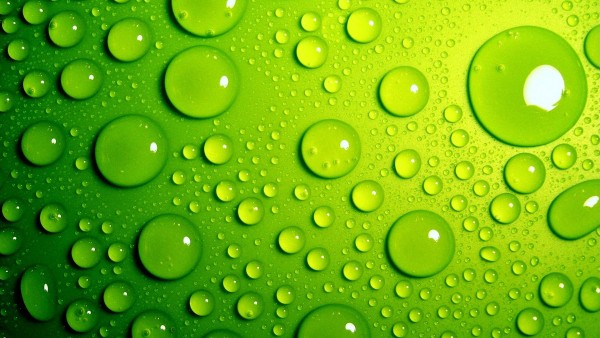 Макро обои капель воды на зеленом фоне hd