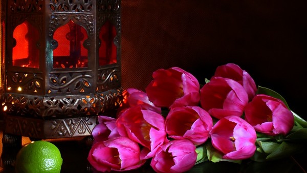 Цветы розовые тюльпаны на столе
