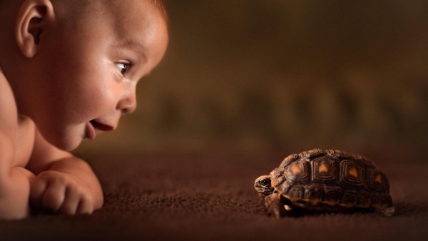 Фото малыша и черепахи на рабочий стол