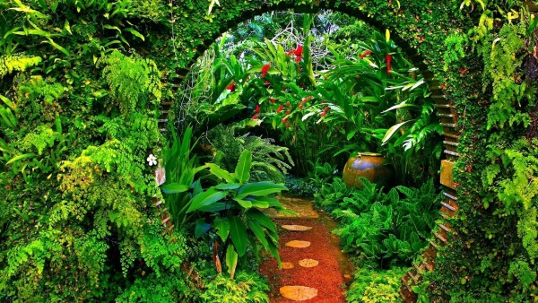 Красивый тропический сад