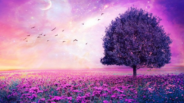 Фиолетовые цветы, поле, арт, дерево, картинки