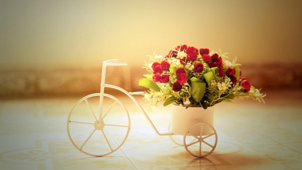 Романтические розы на велосипеде картинки для рабочего стола