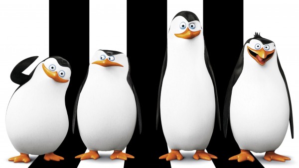 Пингвины из Мадагаскара широкоформатные HD обои скачать