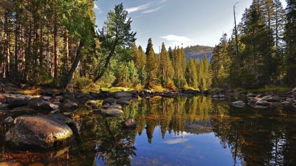 Фото в высоком качестве лесного озера с камнями