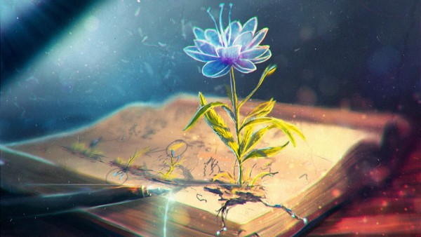 Абстрактный цветок в книге вырос заставки скачать на рабочий стол