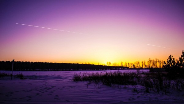Снег, зима, фиолетовые поля, фиолетовое небо, обои hd, бесплатно