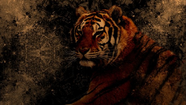 Тигр, рисованные, хищник, фэнтези, абстрактные, обои hd, бесплатно