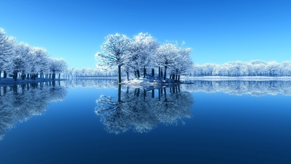 Широкоформатное фото прекрасных деревьев на зимнем озере