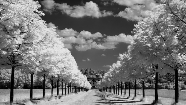Черно-белые фото высокого качества дороги в даль