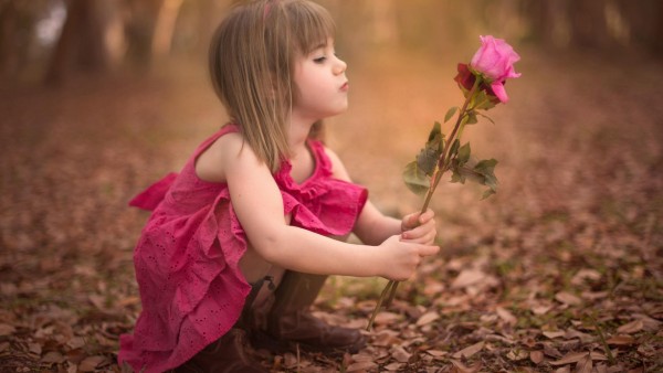 Милая девочка в розовом платье с розовой розой в руках широкоформатные обои скачать
