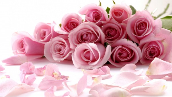 Красивый свадебный букет розовых роз с лепестками обои HD