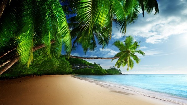 Тропический рай, солнце, песок, берег, океан, голубое небо, обои для рабочего стола