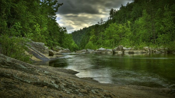 Фото высокого разрешения длинной реки в окружении зеленого леса