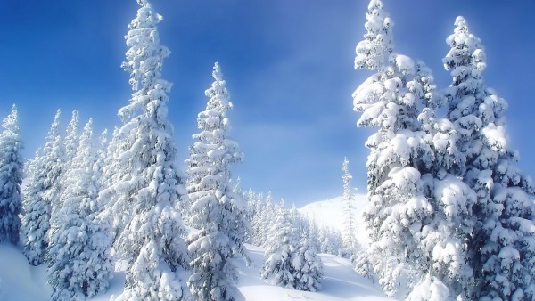 Пейзажи, Природа, Зима, Снег, Деревья, голубое небо, высокого разрешения, фото, обои