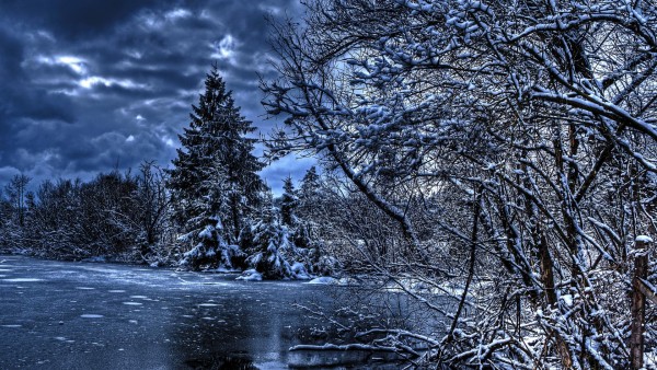 Зима, Новый год, природа, снег, лед на озере, лес, мороз, картинки, заставки