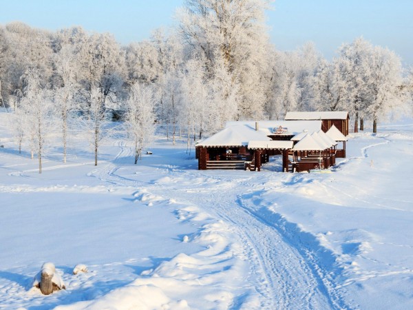 Русская зима, снег, снежный лес, усадьба, домик, хата, картинки, обои