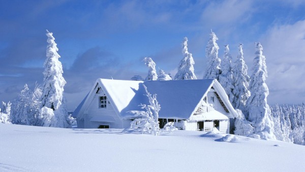 Снежный дом в лесу обои для рабочего стола