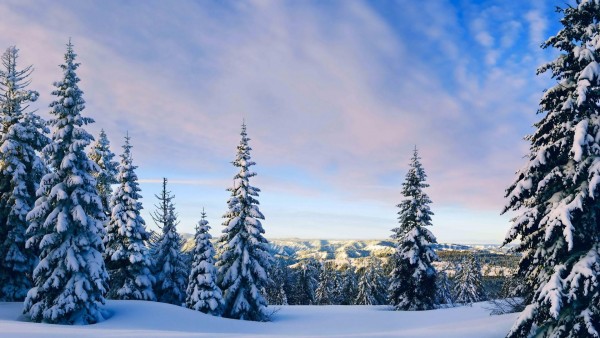 Природа, Пейзажи Горы, деревья, лес, зимние снега, холодный, белое небо, облака, HD Фотография, обои
