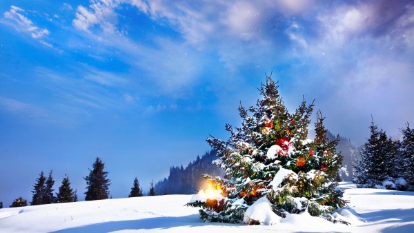 HD обои, Новогодняя елка, зима, снег, небо, холм, лес, Рождество, праздник