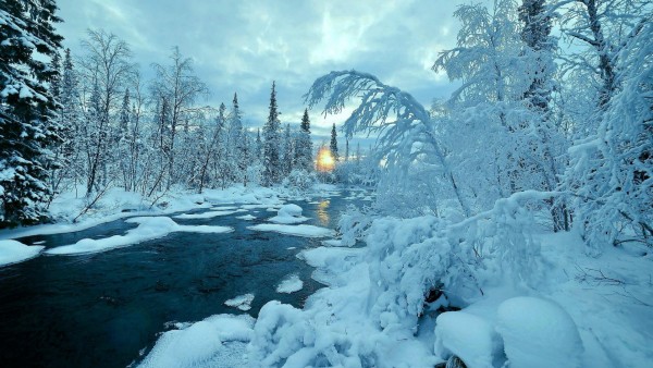 Зимняя река, природа, деревья, пейзаж, снег, зима, обои фоны