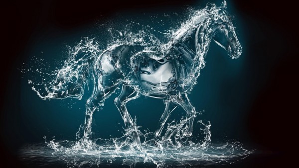 Креативные обои, Водная лошадь, абстрактные, капли воды, картинки
