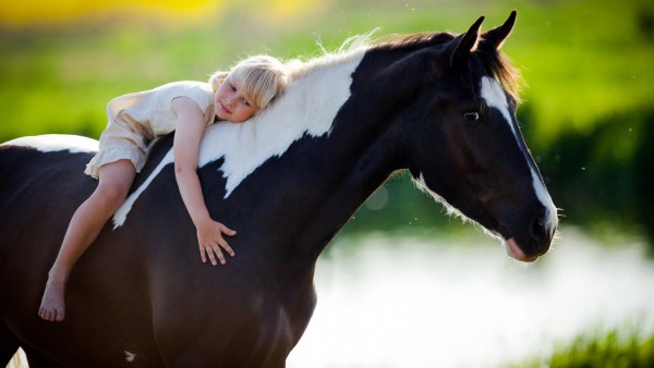 Ребенок сидит на коне широкоформатные обои