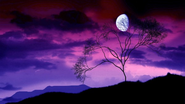 свет луны красивые обои скачать