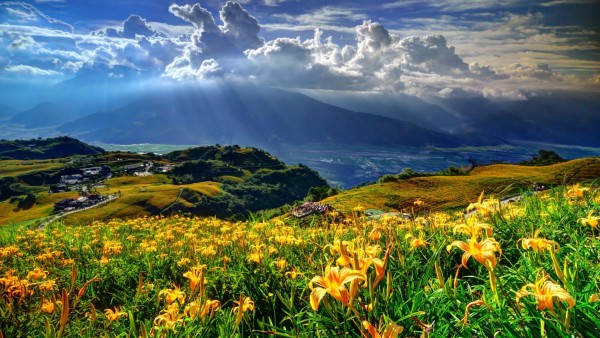 горы, цветы, лилии, деревня, облака, бесплатно